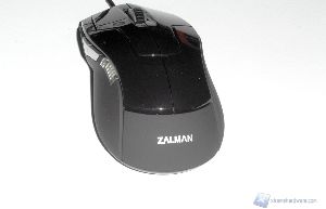 zalman 2